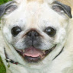 Meet your Posher, Maureen